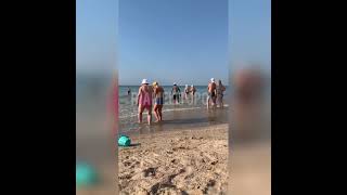 На курорте Азовского моря нашествие медуз: их вывозят тачками