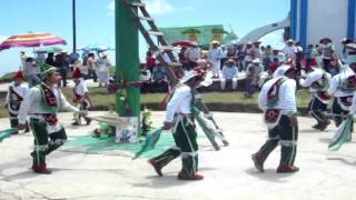 preview picture of video 'Voladores de San Miguel Atlequizayan en Ixtepec, Puebla. 2013'