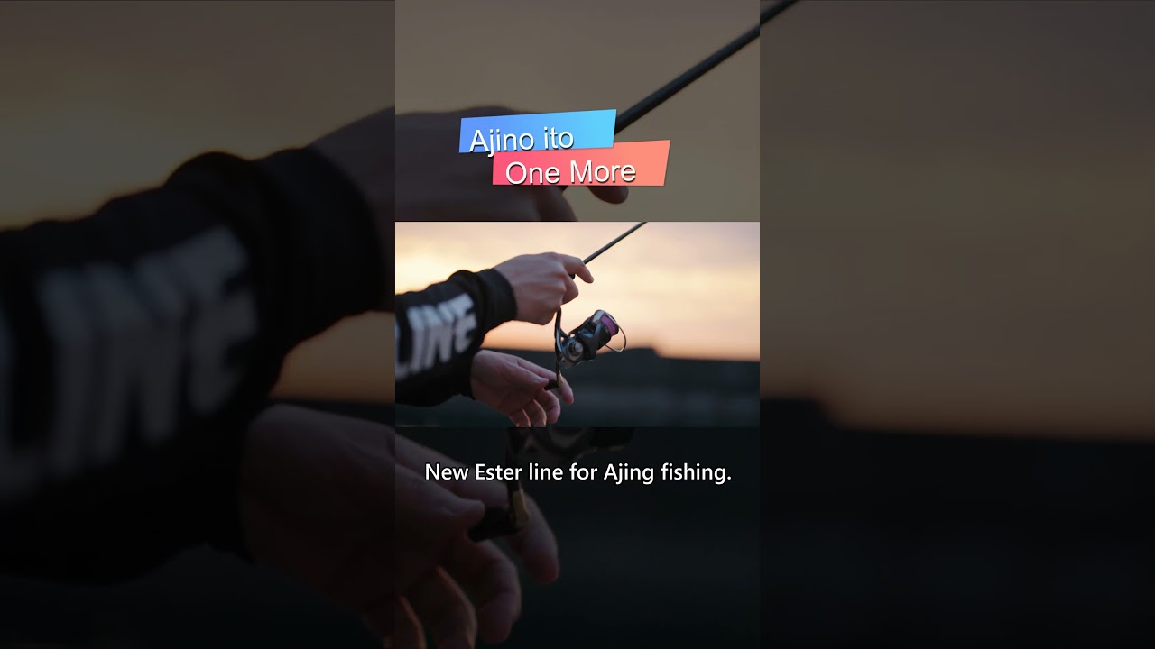 Enjoy Ajing fishing!! #sunline #ajing #lightgame