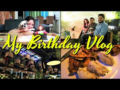 My Birthday vLog || What I Got On My Birthday || Awesome Pet Friendly Restaurant Visit Video
