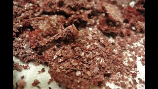 יהלומי יין או טרטר - הפקת חומצה טרטרית טבעית מגפת, זגי יין, קליפות ענבים