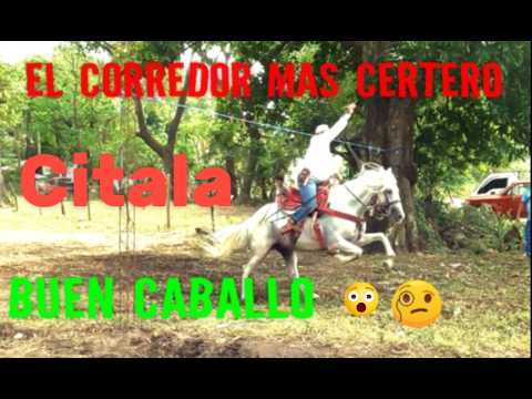 Citala Chalatenango Carreras De Cintas  1