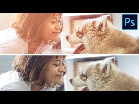 How to Set Up and Use a Wacom Tablet