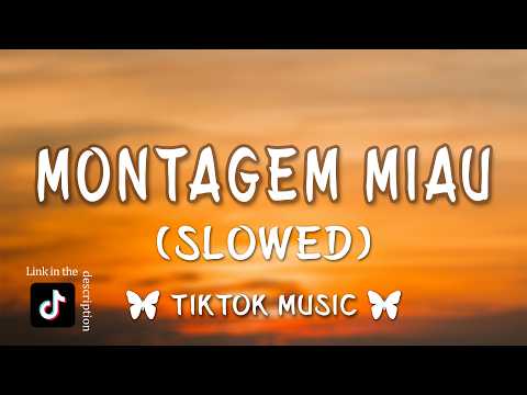 ay mi gatito miau miau tiktok montagem miau (letra)