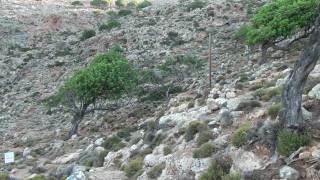 preview picture of video 'E4 Crete  Loutro - Agia Roumeli - down to Lykkos  2 juli 2010'