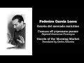 Federico García Lorca - Gacela del mercado ...