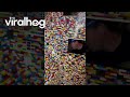Massive Dog House Made With Building Blocks || ViralHog