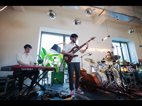 Amphitrio x Motanu’ - Marta, Counterpoint | Live @ AMBASADA