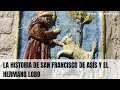 La Historia De San Francisco De Asís Y El Hermano Lobo