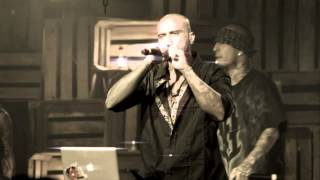 CARTEL SANTA   CANNABIS SATIVA