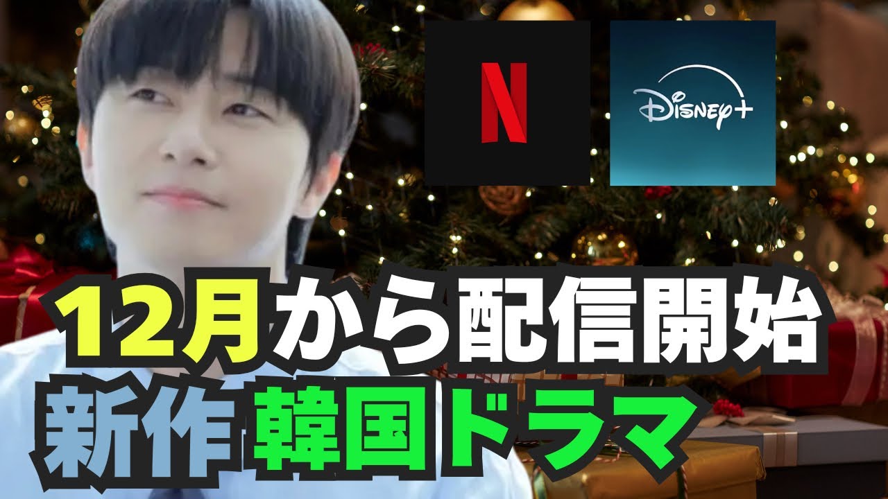 🌟【最新版】12月配信スタート韓国ドラマ！パクソジュン7年振りのラブコメ🩷🌟