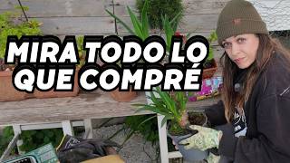 COMPRAS para la finca, ARREGLOS y CONFESIONES. Vlog281