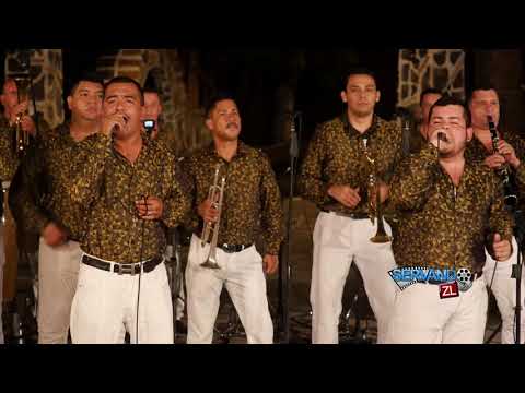 Banda Los Tierra Blanca - No Lastimes Mas (En Vivo 2018)