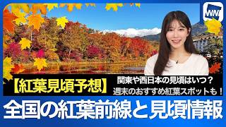 【紅葉見頃予想2026】東日本・西日本は高温でやや遅い見頃？全国の紅葉前線と見頃日