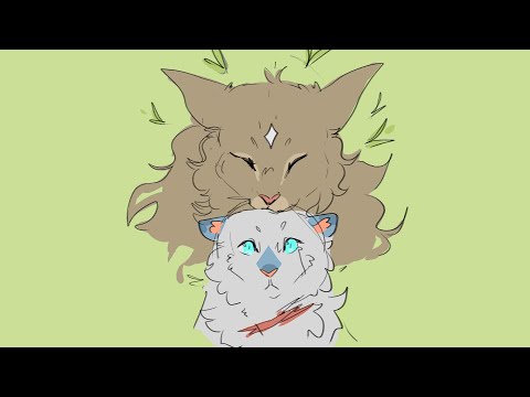 poli reviews warriors "thunder" without any prior context