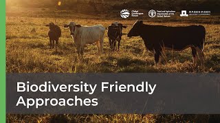 Biodiversity Friendly Approaches 🌱🌍