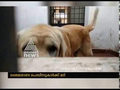 കള്ളന്മാരെ പിടിക്കാന്‍ ലക്ഷങ്ങള്‍മുടക്കി പരിശീലിപിച്ചെടുത്ത പട്ടികള്‍ക്ക് സുഖവാസം