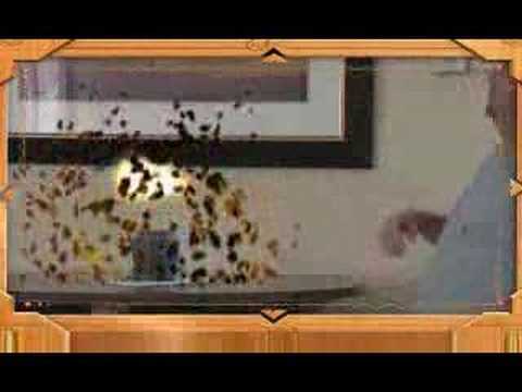 Stuck between a rock and a hard place