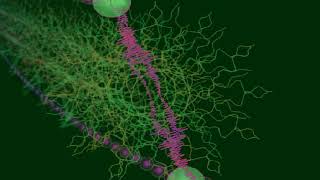 Eloy - Voyager of the Future Race