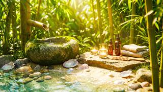 Relaxing Music 🌲with Water Sounds | Deep Healing & Stress Relief