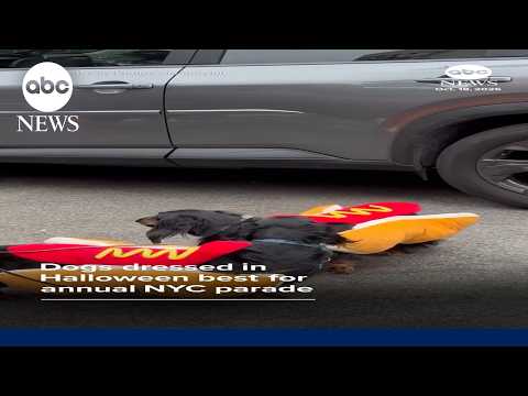 Dogs dress in Halloween costumes for annual parade