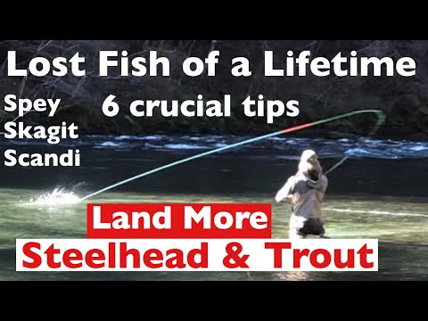 Six Fly fishing Tips for  Steelhead and Trout Spey Success,