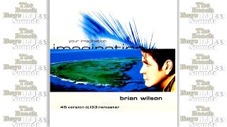 Brian Wilson - Your Imagination (45 Version DJ L33 Remaster Music Video) 720p The Beach Boys
