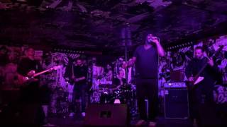 Audioweb - Bank Robber