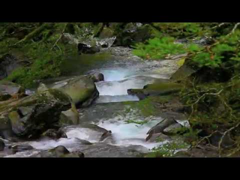 Sergey Sirotin & GLO - Nostalgia