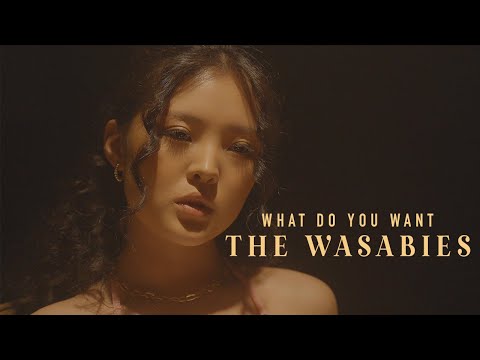 THE WASABIES - 'What do you want?' (Official music video)