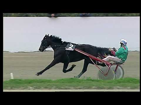 Napoli Trotto 19/03/2021 - 2ª corsa