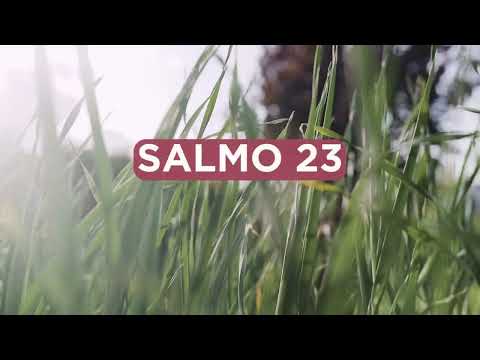 Il Buon Pastore : una lettura del Salmo 23 in versione moderna