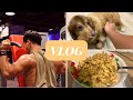 VLOG#68 | Daily Vlog | 健身 | 美食 | 日常 | Lazy Bug