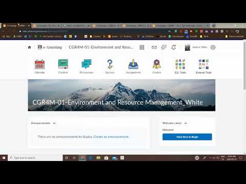 Creating A Widget In D2l