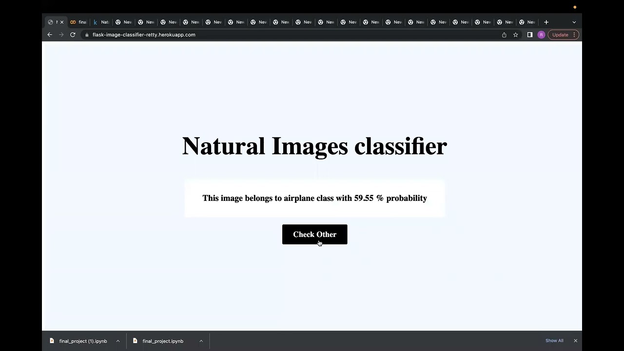 Natural Image Classifier| Data Mining| Tensorflow| Machine Learning Model