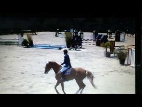 Andiamo Stute 7j. Turnier