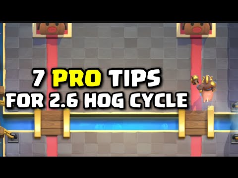 7 PRO tips you NEED to know to get better at 2.6 Hog Cycle