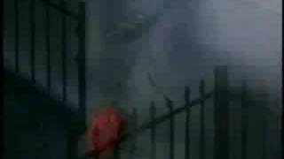 The Echodonic Harmony