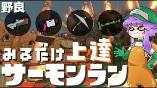 【野良】見るだけ上達サモラン！Sブラ52竹和傘どんぴこ闘技場🐋カンスト290回【スプラトゥーン3/サーモンランNW】