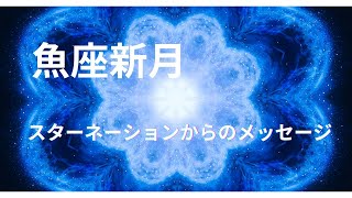 魚座新月遠隔エネルギーヒーリング　2025.2.28