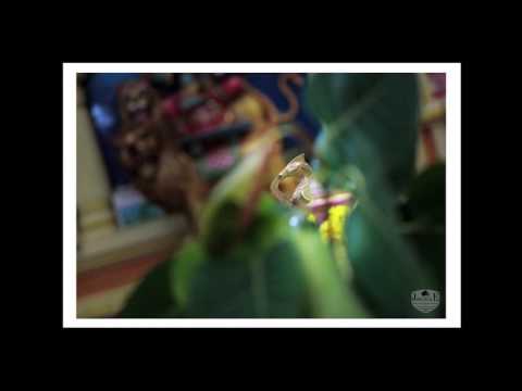 SreePathy Weds Geetha Devi