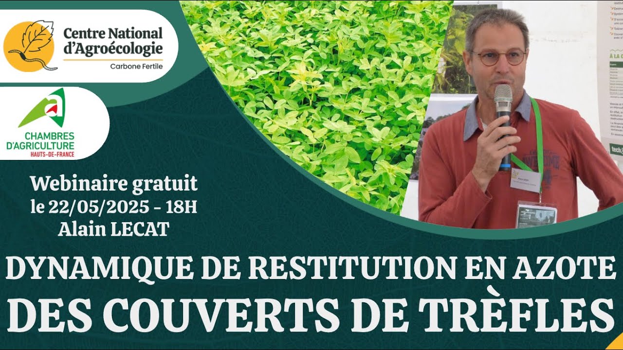 Restitution en azote des couverts de trèfles, retours d'essais avec Alain LECAT