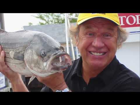 Gaither Vocal Band Give It Away