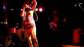 The Slits-Love Und Romance-Live in Chicago-3/19/2008
