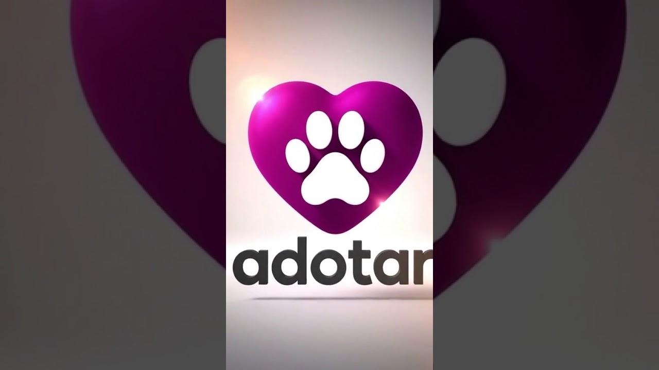 Cachorro raça SRD-ViraLata idade 1 ano nome Pipoca 1aninho um amor 