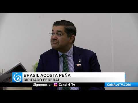 Brasil Acosta Peña, habla sobre lo que ofrece Rusia a México en la cooperación.