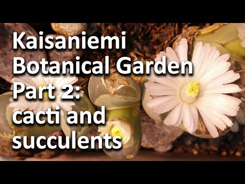 Kaisaniemi Botanical Garden - Part 2: Ca