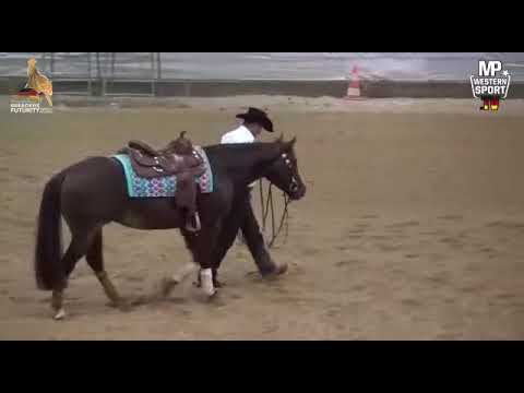 Finale 16.10.2020 German Breeders Futurity 2020, Wimpysdreamcometrue aka Sharky mit Emanuel Ernst