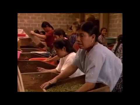 Los Civilizadores - Alemanes en Guatemala - Trailer oficial