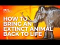 How to Bring an Extinct Animal Back to Life